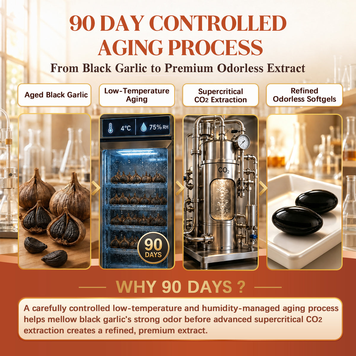 ZenVitalize® Black Garlic + Ubiquinol Energy Complex