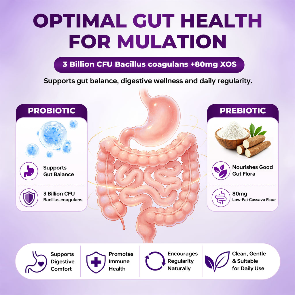 ZenVitalize Gut Health Gummies | Probiotic + Prebiotic Daily Digestive Support with Delicious Blackberry Flavor