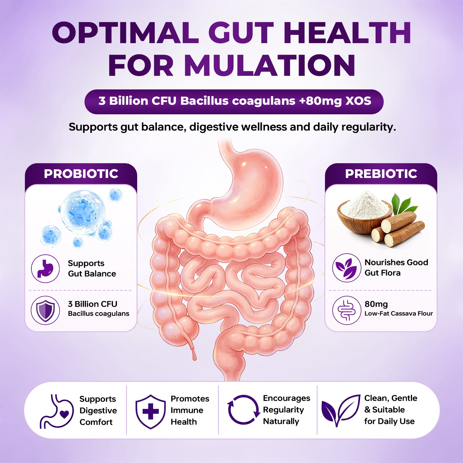 ZenVitalize Gut Health Gummies | Probiotic + Prebiotic Daily Digestive Support with Delicious Blackberry Flavor